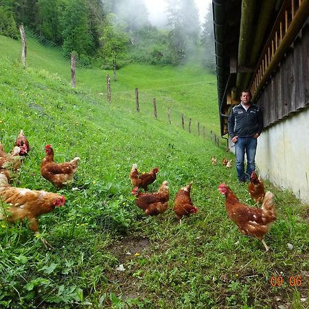 Berghof Burtscher Ludesch Екстер'єр фото
