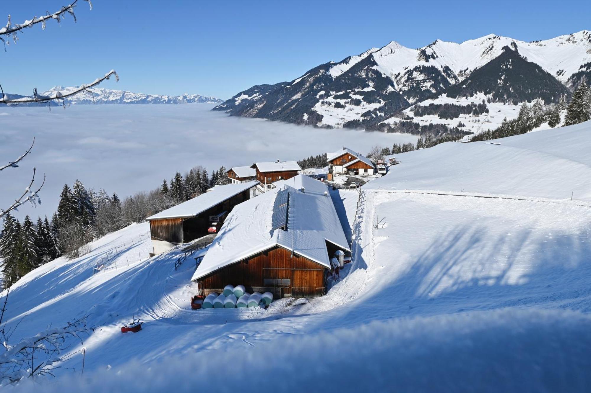 Berghof Burtscher Ludesch Екстер'єр фото